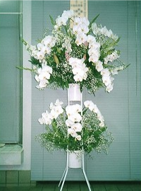 �ӂ��[�ۂ���Tsukui�̏j�p�X�^���h��