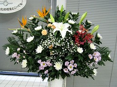 �ӂ��[�ۂ���Tsukui�̑��V�p�t�����[�A�����W