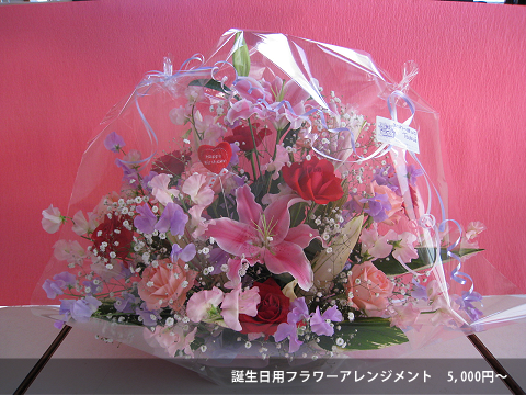 �ӂ��[�ۂ���Tsukui�̃t�����[�A�����W�����g�P