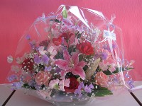 �ӂ��[�ۂ���Tsukui�̃t�����[�A�����W