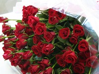 �ӂ��[�ۂ���Tsukui�̉ԑ�