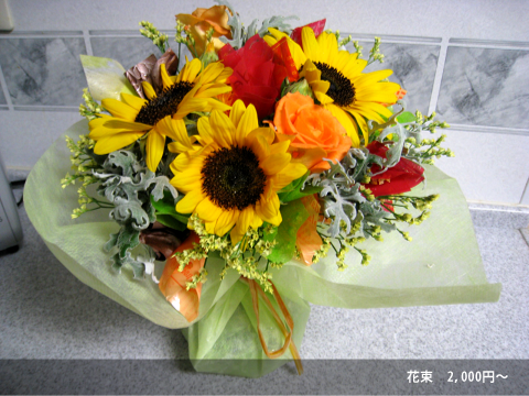 �ӂ��[�ۂ���Tsukui�̉ԑ��P